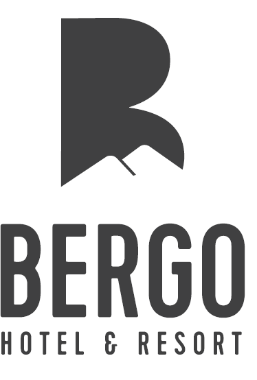 Logo Bergo